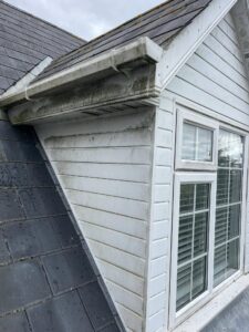 fascia of a house with algae growing on it